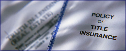 Insurance Consulting